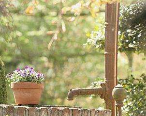 Guest house 421521 - Holiday property Hart van Brabant - Vakantiehuis in Moergestel