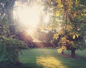 Guest house 421521 - Holiday property Hart van Brabant - Vakantiehuis in Moergestel