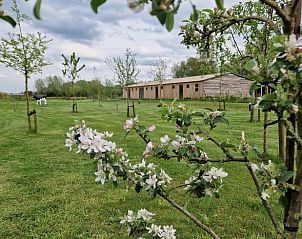 Bloeiende tuin bij Vakantiehuis in Moergestel, omgeven door natuur in Hart van Brabant, Noord Brabant.