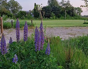 Bloemen en groen rondom Vakantiehuis in Moergestel, rustgevende omgeving in Hart van Brabant.