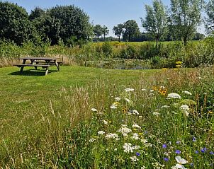 Picknickplek in de natuur bij Vakantiehuis in Moergestel, ideaal voor ontspanning, Noord Brabant.