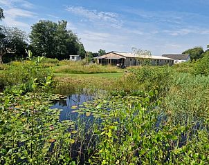 Guest house 421527 - Holiday property Hart van Brabant - Huisje in Moergestel