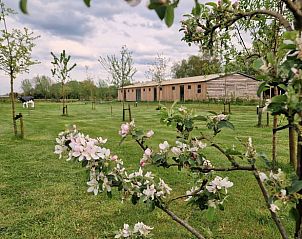 Guest house 421527 - Holiday property Hart van Brabant - Huisje in Moergestel