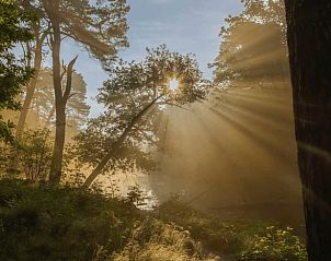 Guest house 421529 - Holiday property Hart van Brabant - Huisje in Moergestel