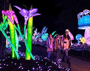 Guest house 421529 - Holiday property Hart van Brabant - Huisje in Moergestel