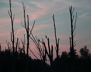 Guest house 421702 - Holiday property Hart van Brabant - Huisje in Lith