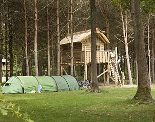 Verblijf 421805 • Vakantiewoning Hart van Brabant • RCN de Flaasbloem | Kampeerplaats met boomhut 