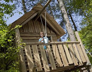 Guest house 421805 - Holiday property Hart van Brabant - RCN de Flaasbloem | Kampeerplaats met boomhut