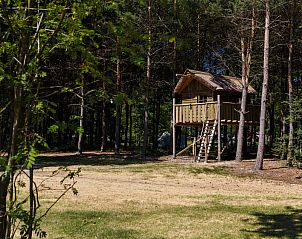 Guest house 421805 - Holiday property Hart van Brabant - RCN de Flaasbloem | Kampeerplaats met boomhut