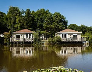 Guest house 421806 - Chalet Hart van Brabant - Chalet Stuga