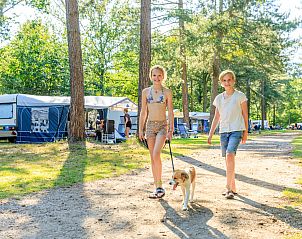 Unterkunft 421809 • Ferienhaus Hart van Brabant • RCN de Flaasbloem | Kampeerplaats 