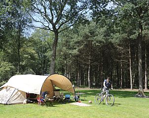 Guest house 421809 - Holiday property Hart van Brabant - RCN de Flaasbloem | Kampeerplaats