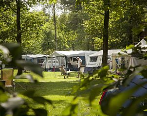 Guest house 421809 - Holiday property Hart van Brabant - RCN de Flaasbloem | Kampeerplaats