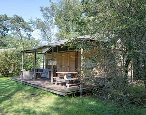 Guest house 421811 - Tent house Hart van Brabant - Safaritent Moose