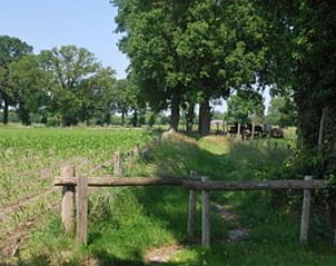 Guest house 421822 - Holiday property Hart van Brabant - Vakantiehuis in Chaam