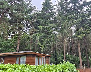 Guest house 421828 - Chalet Hart van Brabant - Chalet in Chaam