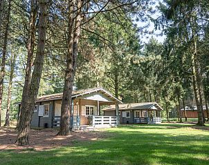 Finse Lodge Plus in Chaam, Noord Brabant, omringd door groene natuur en bomen, perfect voor een ontspannen vakantieverblijf.