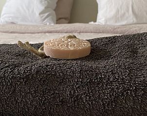 Unterkunft 421830 - Ferienhaus Hart van Brabant - Huisje in Chaam