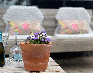 Unterkunft 421830 - Ferienhaus Hart van Brabant - Huisje in Chaam