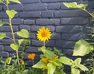 Unterkunft 421830 - Ferienhaus Hart van Brabant - Huisje in Chaam