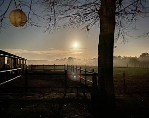 Unterkunft 421830 - Ferienhaus Hart van Brabant - Huisje in Chaam