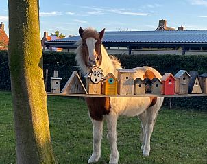 Unterkunft 421830 - Ferienhaus Hart van Brabant - Huisje in Chaam