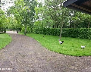 Verblijf 421834 - Vakantiewoning Hart van Brabant - Cottage Dassemus