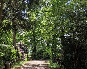 Unterkunft 422118 - Ferienhaus Hart van Brabant - Vakantiehuis Chaletpark Kempenbos - 73