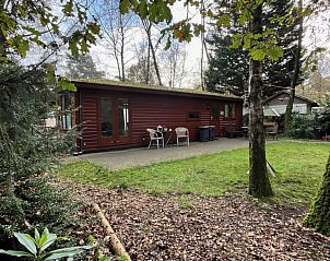 Unterkunft 422120 - Ferienhaus Hart van Brabant - Vakantiehuis Chaletpark Kempenbos - 196