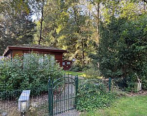 Unterkunft 422120 - Ferienhaus Hart van Brabant - Vakantiehuis Chaletpark Kempenbos - 196