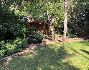 Unterkunft 422120 - Ferienhaus Hart van Brabant - Vakantiehuis Chaletpark Kempenbos - 196