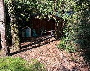 Unterkunft 422120 - Ferienhaus Hart van Brabant - Vakantiehuis Chaletpark Kempenbos - 196