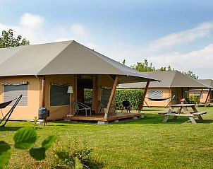 Unterkunft 4225117 - Zelthaus Hart van Brabant - Barntent