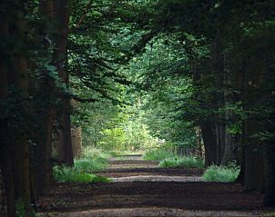 Unterkunft 4225118 - Ferienhaus Hart van Brabant - t Kaatsheuveltje 1
