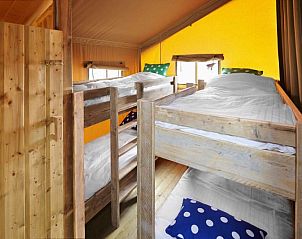 Unterkunft 4225126 - Zelthaus Hart van Brabant - Ranchtent