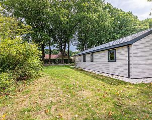 Guest house 4225129 - Chalet Hart van Brabant - Chalet in Kaatsheuvel