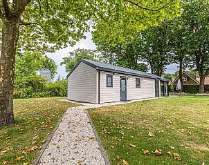 Guest house 4225129 - Chalet Hart van Brabant - Chalet in Kaatsheuvel