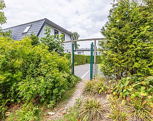 Guest house 4225129 - Chalet Hart van Brabant - Chalet in Kaatsheuvel