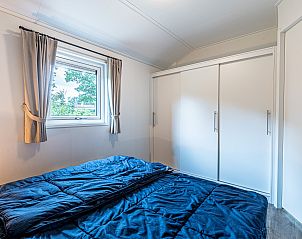 Guest house 4225129 - Chalet Hart van Brabant - Chalet in Kaatsheuvel