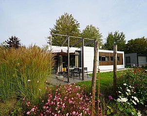 Pavilion 4 vakantiehuis in Kaatsheuvel, Noord Brabant met zonnig terras en kleurrijke tuin in het Hart van Brabant.