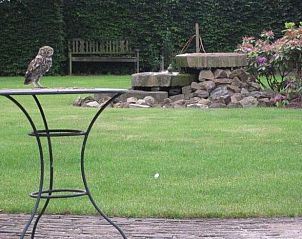 Guest house 422576 - Holiday property Hart van Brabant - Vakantiehuisje in Kaatsheuvel