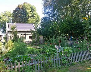 Groene tuin bij Huisje in Kaatsheuvel, vakantiehuis in Noord Brabant.