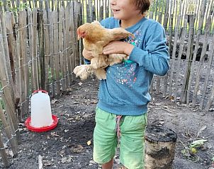 Kind met kip bij Huisje in Kaatsheuvel, vakantiehuis in Kaatsheuvel, Noord Brabant.