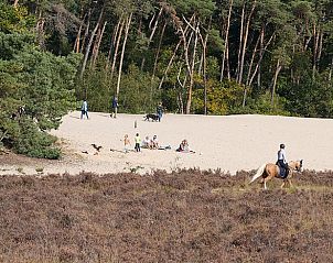 Gezinsactiviteiten in de natuurlijke omgeving van Huisje in Kaatsheuvel, ideaal voor outdoor plezier.