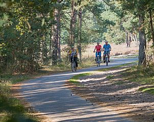 Fietsen door de groene paden nabij Huisje in Kaatsheuvel, vakantiehuis in het hart van Noord Brabant.