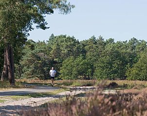 Joggen in de serene natuur rondom Huisje in Kaatsheuvel, perfect voor actieve vakanties in Brabant.
