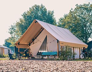 Unterkunft 422588 • Zelthaus Hart van Brabant • Glampingtent 