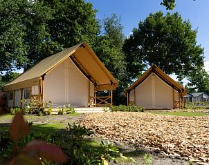 Unterkunft 422599 - Ferienhaus Hart van Brabant - Vakantiehuis Glampingtent 4