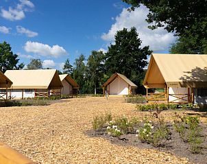 Unterkunft 422599 - Ferienhaus Hart van Brabant - Vakantiehuis Glampingtent 4