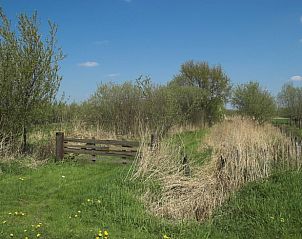 Unterkunft 422707 - Ferienhaus Hart van Brabant - Vakantiehuisje in Schijndel